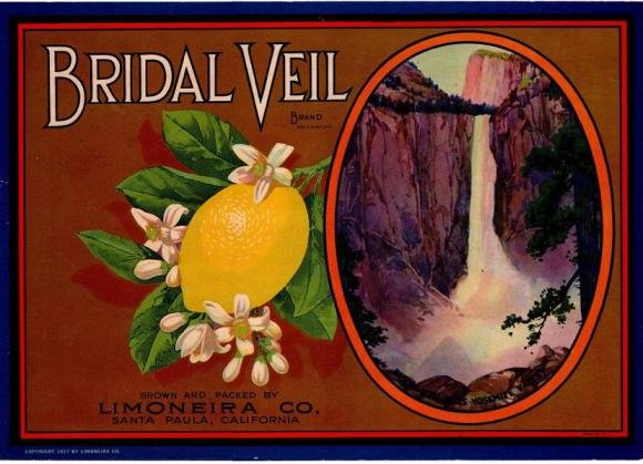 bridal veil