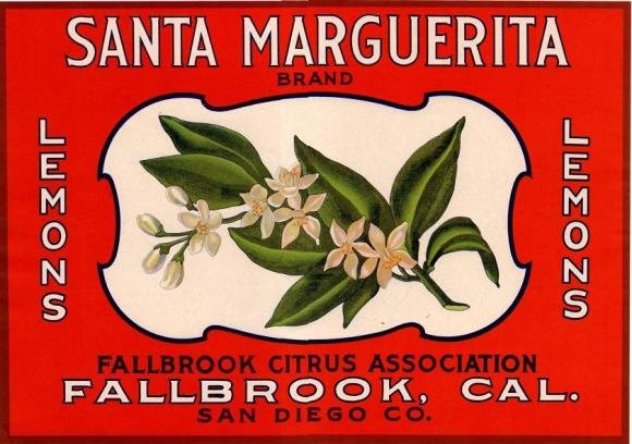 santa marguerita
