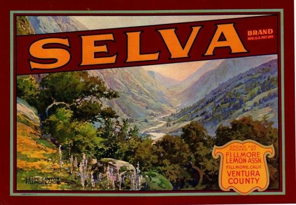 selva brand