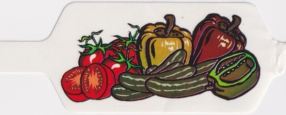 Sansnom (legumes)