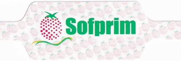 Sofprim