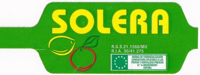 Solera