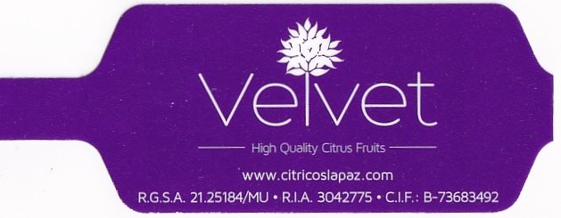 Velvet high quality citrus fruits www.citricoslapaz.com