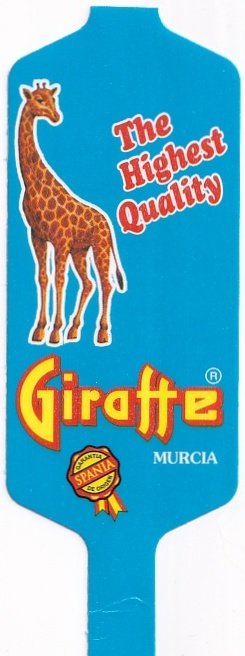 Giraffe the highest quality murcia spania