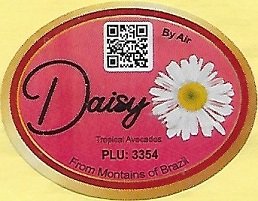 Daisy  by air tropical avocados plu 3354 from montains of brazil