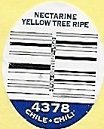 Nectarine yellow tree ripe 4378 chili