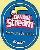 Banana stream premium bananas ecuador