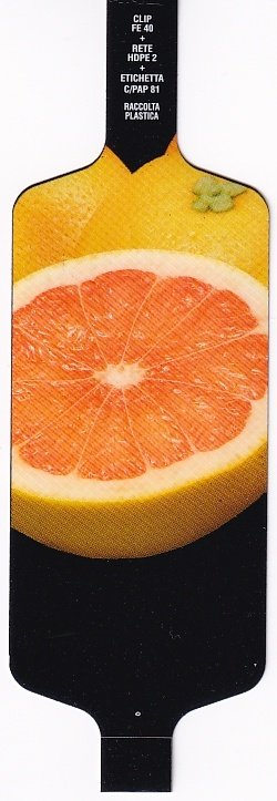 Sansnom (fruits) clip fe 40