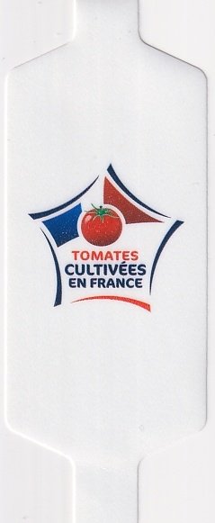 Tomates cultivees en france