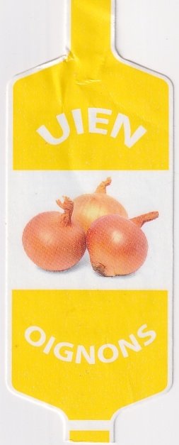 uien oignons