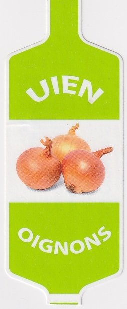 uien oignons