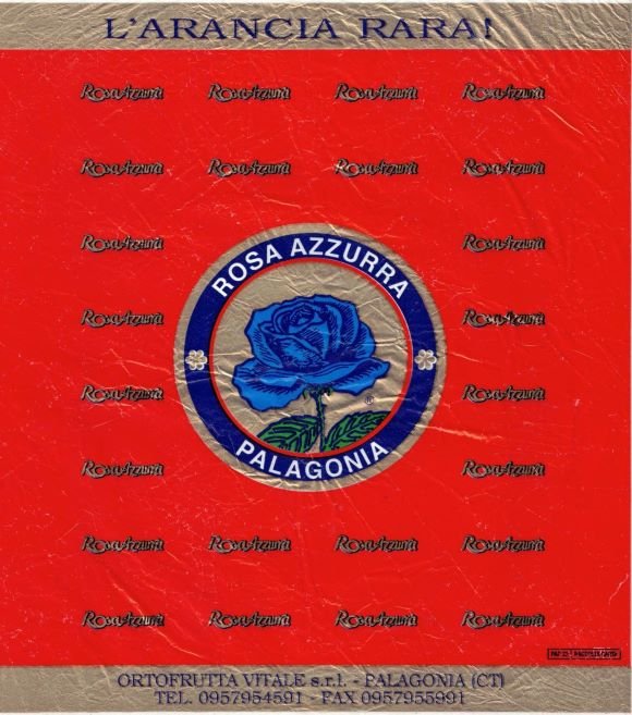 Rosa azzurra palagonia l arancia rara ortofrutta vitale palagonia
