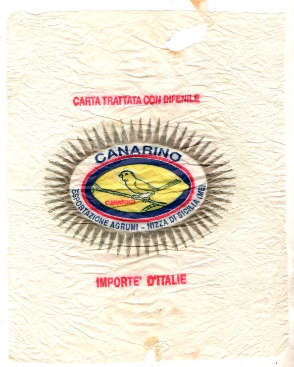 Canarino esportazione agrumi nizza di sicilia importe d italie