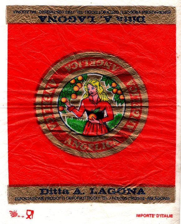 Angelica ditta A. lagona exportazione prodotti ortofrutticoli palagonia importe d italie