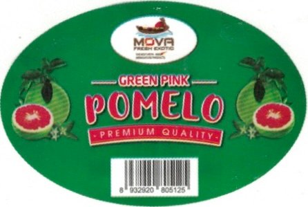 Mova fresh exotic green pink pomelo premium quality 8932920805125
