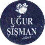 Ugur Sisman citrus