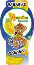 Rosselina bananas ecuador