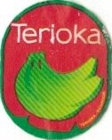 Terioka ecuador