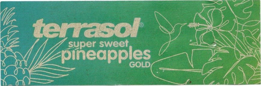 Terrasol super sweet pineapples gold lidl 20586379 product of ecuador 6