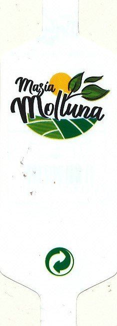 masia moltuna