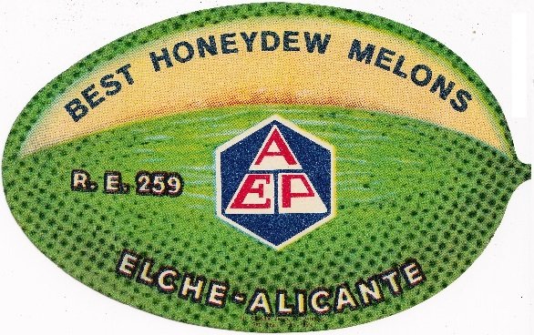 Aep best honeydew melons elche alicante r.e. 259