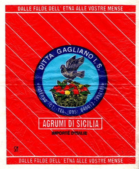 Ditta gagliano i s paterno dalle falde dell etna alle vostre mense agrumi di sicilia importe d italie