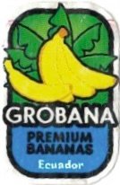 Grobana premium bananas ecuador