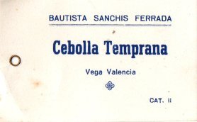 cebolla temprana bautista sanchis ferrada vega valencia cat 2