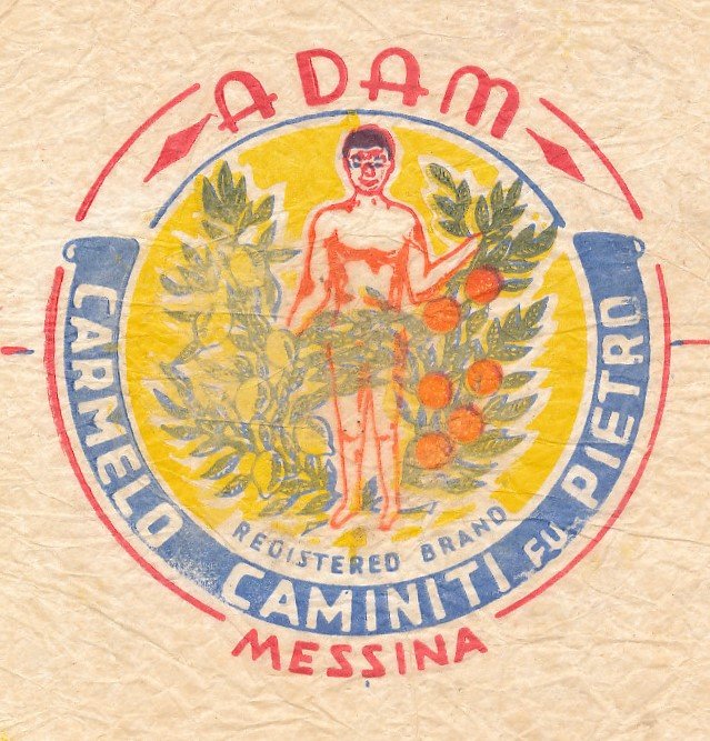Adam carmelo caminiti fu pietro messina