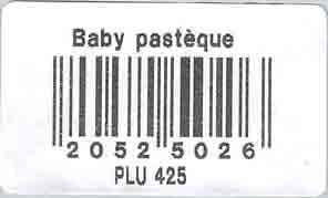 baby pasteque 20525026 plu425