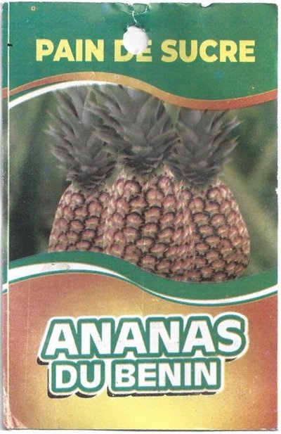 pain de sucre ananas du benin pret a deguster republique du benin 3847667174188