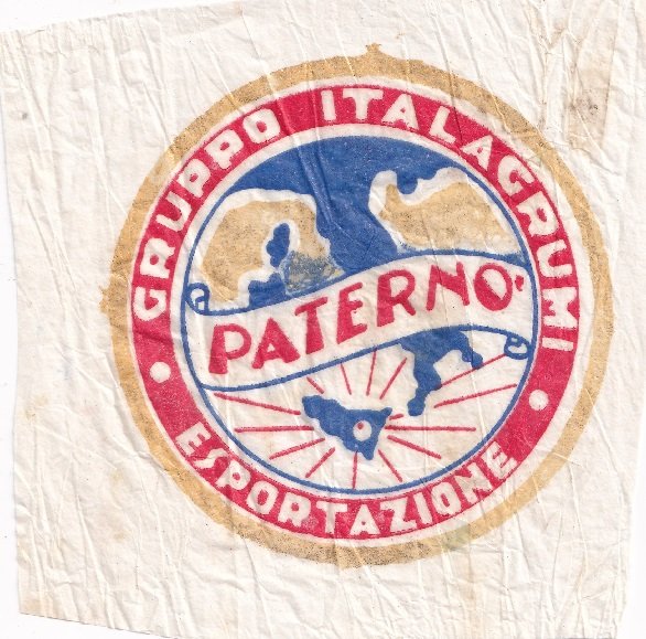 paterno gruppo italagrumi esportazione