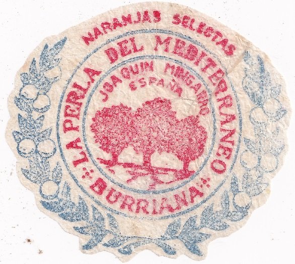 joaquin mingarro espana la perla del mediterraneo burriana naranjas selectas