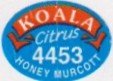 Koala citrus 4453 honey murcott