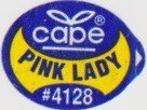Cape pink lady #4128