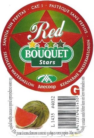 Bouquet stars red l1435 #4032 g 8412276685430