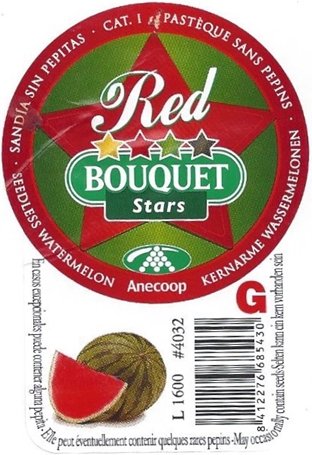 Bouquet stars red l1600 #4032 g 8412276685430
