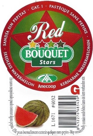 Bouquet stars red l1671 #4032 g 8412276685430