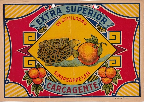 de schildpad sinaasappelen extra superior carcagente
