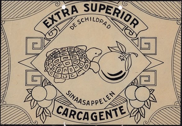 de schildpad sinaasappelen extra superior carcagente