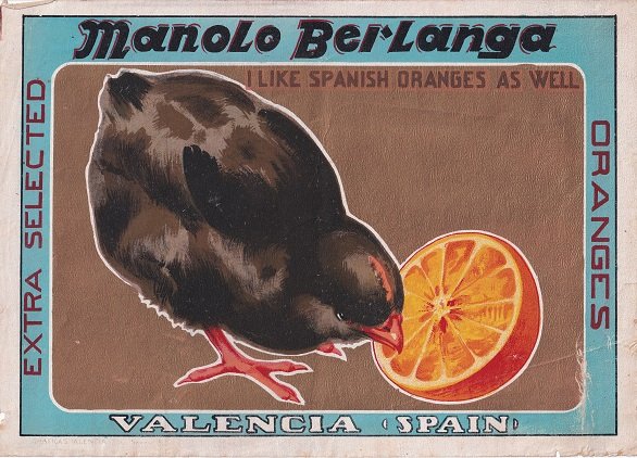 manolo berlanga i like spanish oranges as well valencia spain