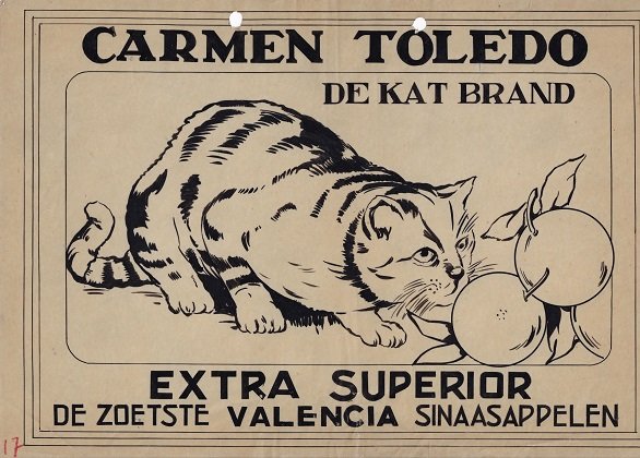 de kat brand carmen toledo extra superior de zoetste valencia sinaasappelen