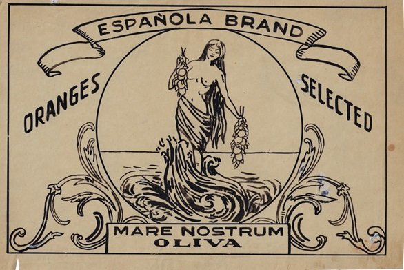 mare nostrum espanola brand oliva