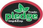 Pledge trade imp & exp
