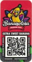 Banagolosa premium fruit extra sweet banana discover our origin ecuador south america
