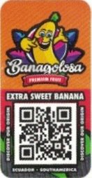 Banagolosa premium fruit extra sweet banana discover our origin ecuador south america