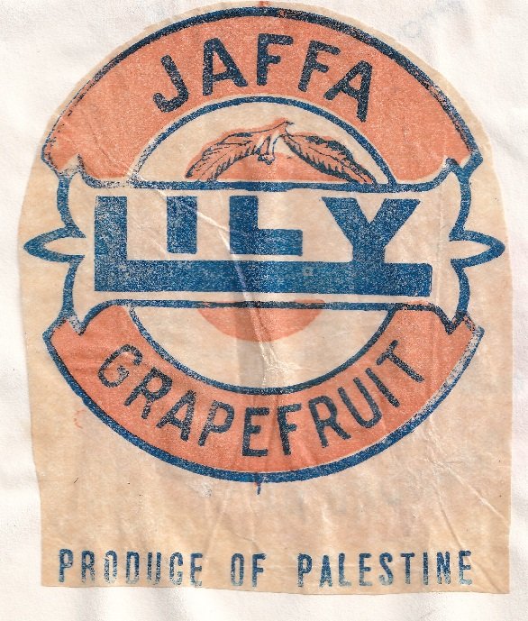 Lily jaffa grapefrut produce of palestine