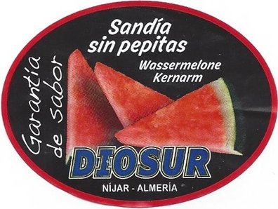 Diosur sandia sin petitas wassermelone kernarm garantia de sabor nijar almeria