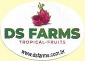 ds farms tropical fruits www.dsfarms.com.br