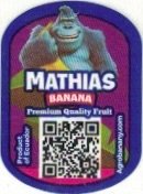 Mathias banana product of ecuador agrobanary.com